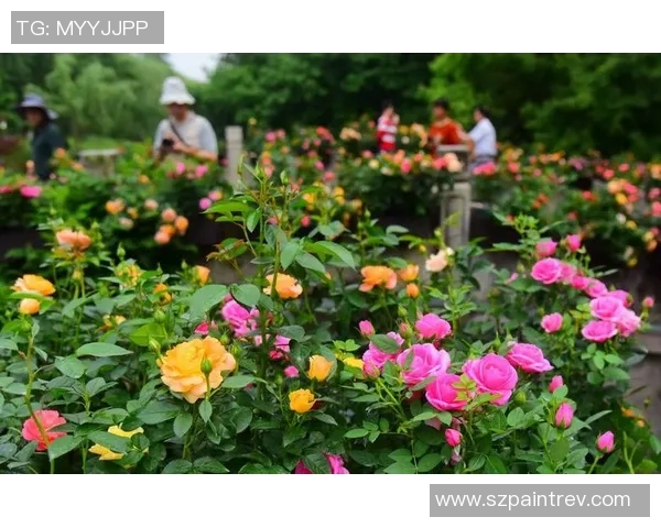 卡塔尔多哈盛大举办世界园艺博览会展现全球园艺文化与创新成果